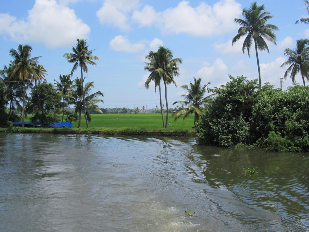 Villa Marari Dreamz Alappuzha Zimmer foto