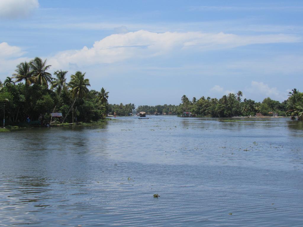 Villa Marari Dreamz Alappuzha Zimmer foto